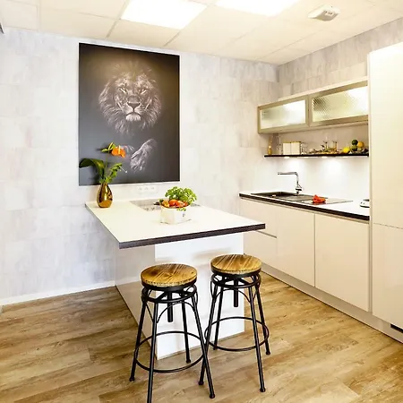 Alb - Lion Apartment *